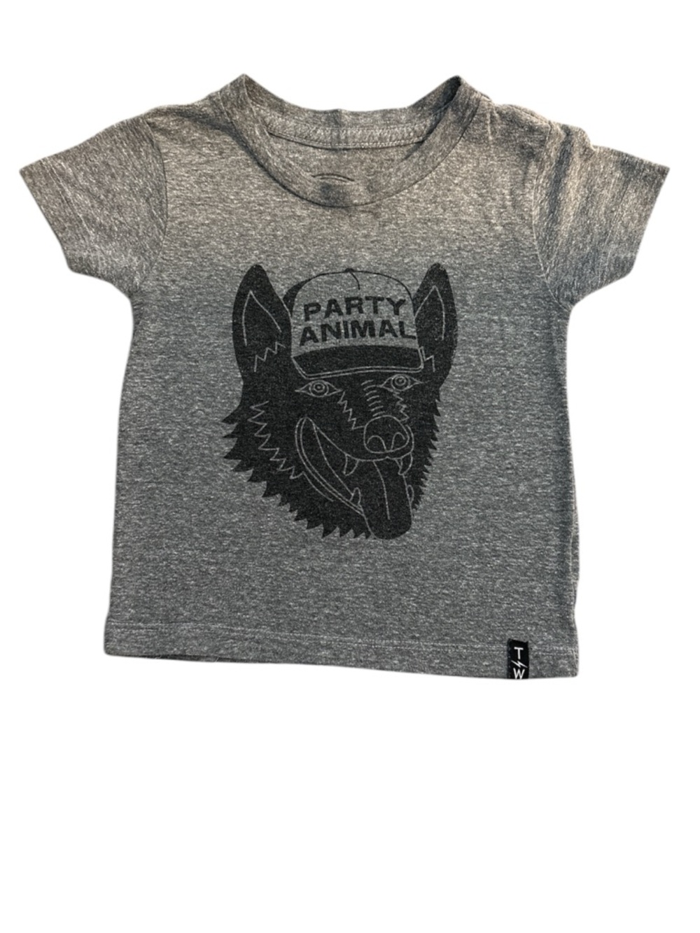 Kids 'Party Animal' Graphic Tee - Gray by